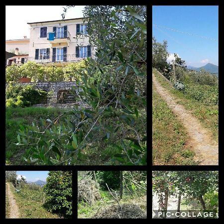 Rural House Rondini Hotel Camposasco Kültér fotó