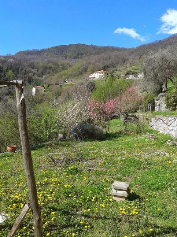 Rural House Rondini Hotel Camposasco Kültér fotó